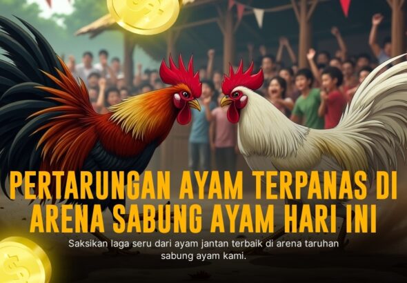 Menguak Rahasia Ayam Bangkok dalam Sabung Ayam SV388