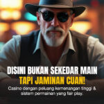 Sabung Ayam: Tradisi, Aturan, dan Kontroversi di Balik Pertarungan Ayam Jantan