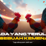 Mengenal Sabung Ayam: Tradisi, Kontroversi, dan Faktanya