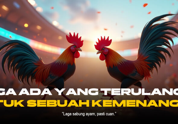 Mengenal Sabung Ayam: Tradisi, Kontroversi, dan Faktanya