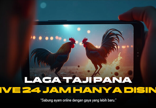 Rahasia Odds dan Jenis Ayam Sabung Ayam di SV388