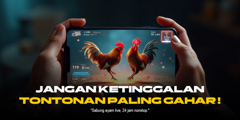 Mengenal Ayam Bangkok: Raja Sabung Ayam di SV388