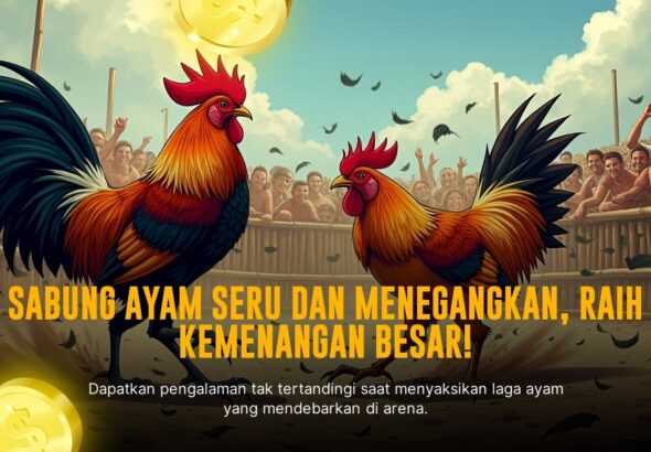 Menelisik Jenis Ayam Aduan dalam Sabung Ayam SV388