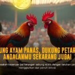 Mengenal Ayam Bangkok: Raja Sabung Ayam dengan Odds Terbaik di SV388