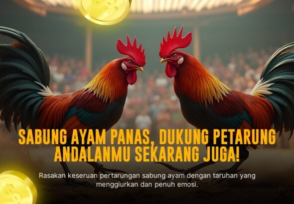 Mengenal Ayam Bangkok: Raja Sabung Ayam dengan Odds Terbaik di SV388