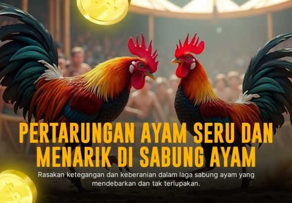 Mengenal Ayam Bangkok: Raja Sabung Ayam dengan Peluang Menang Tinggi